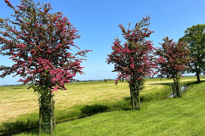 Bekijk foto 13 van Zandwerven 33