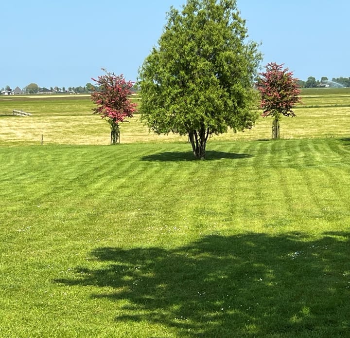 Foto 17 van Zandwerven 33