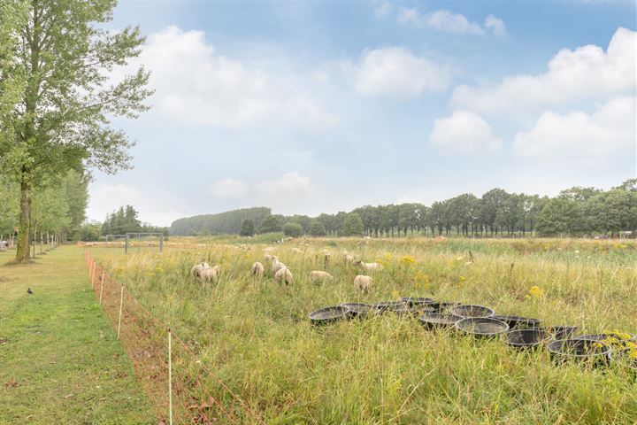 Bekijk foto 37 van Doornenburgstraat 63-C