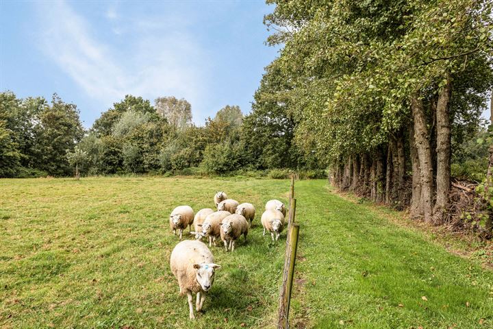 Bekijk foto 63 van Meerweg 36