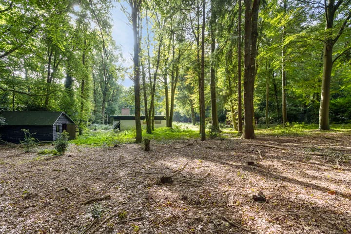 Foto 15 van Steenbergen 5