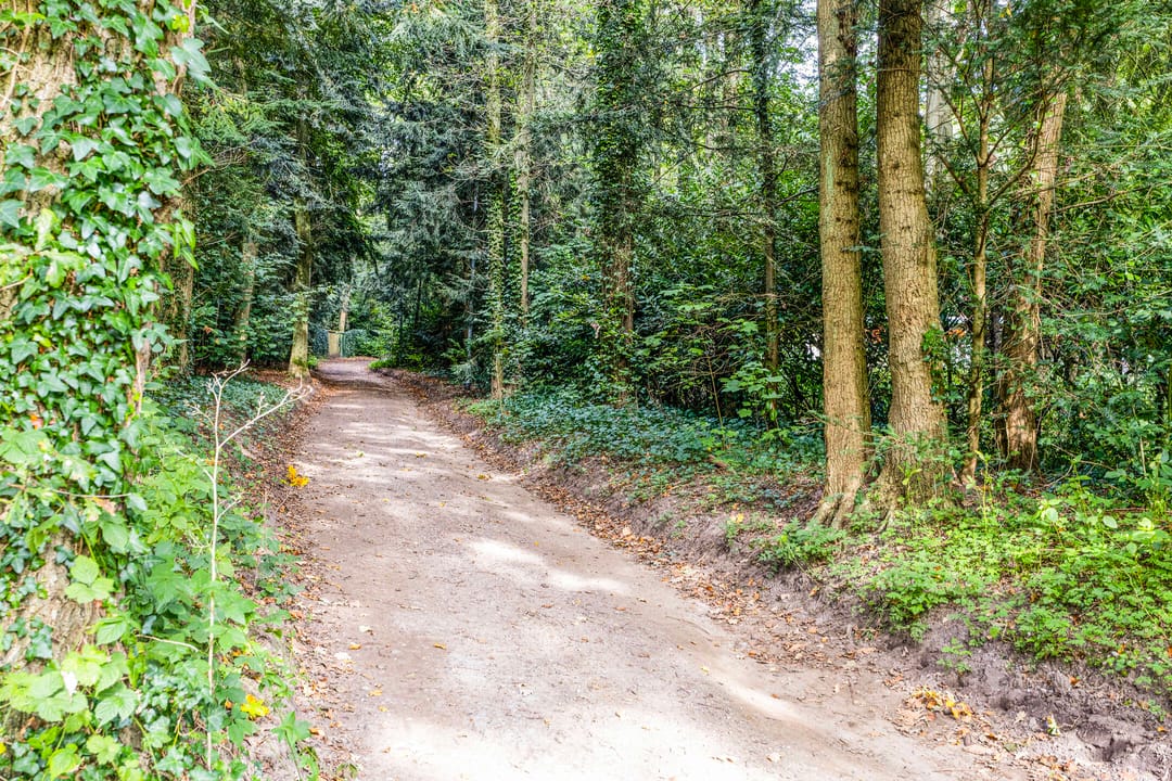 Foto 11 van Steenbergen 5