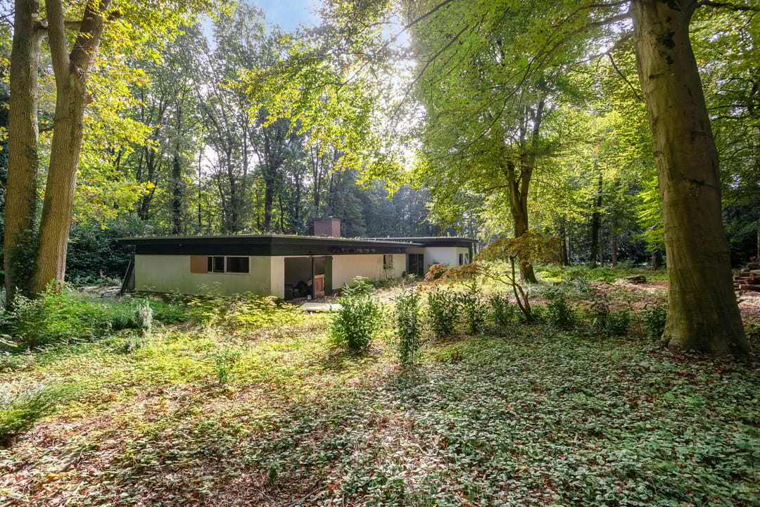 Foto 13 van Steenbergen 5