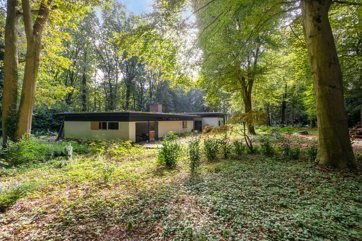 Foto 13 van Steenbergen 5