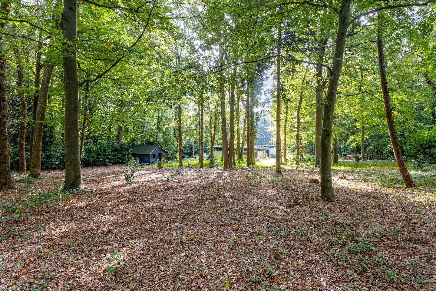 Foto 14 van Steenbergen 5