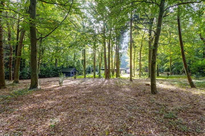 Foto 14 van Steenbergen 5