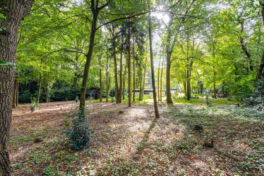 Foto 16 van Steenbergen 5