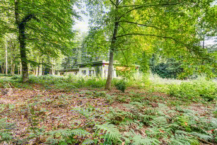 Foto 21 van Steenbergen 5