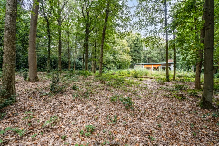 Foto 17 van Steenbergen 5