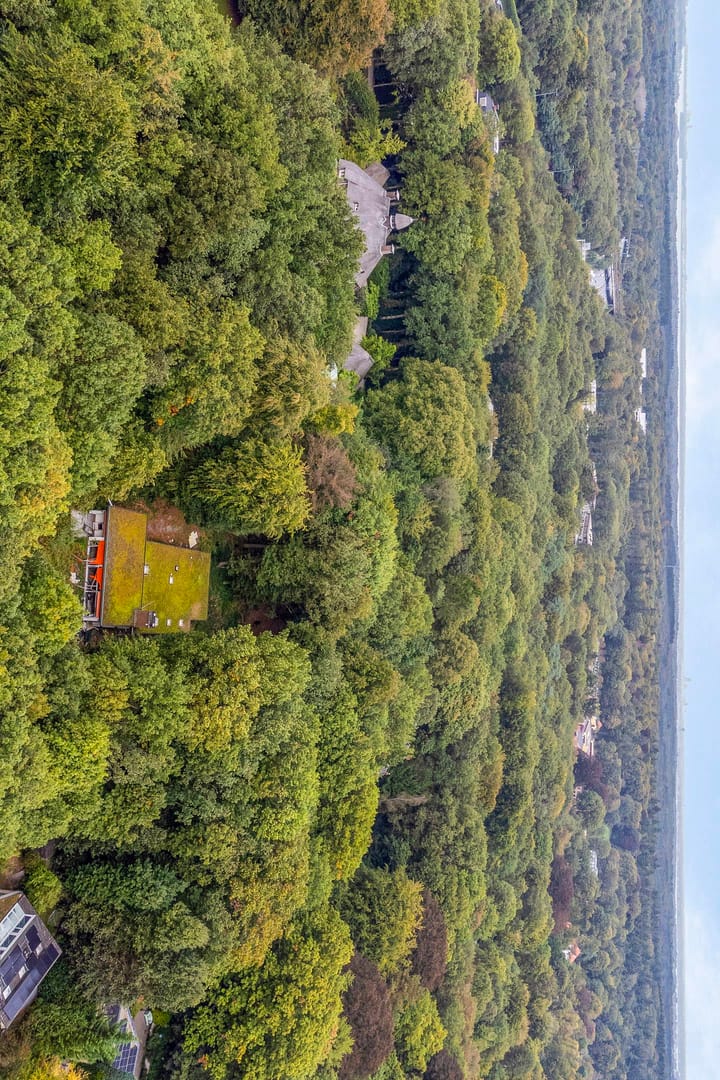 Foto 8 van Steenbergen 5