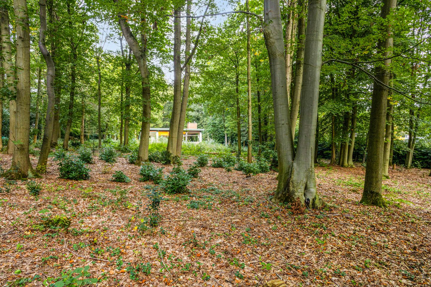 Foto 20 van Steenbergen 5