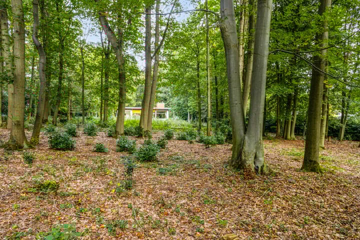 Foto 20 van Steenbergen 5