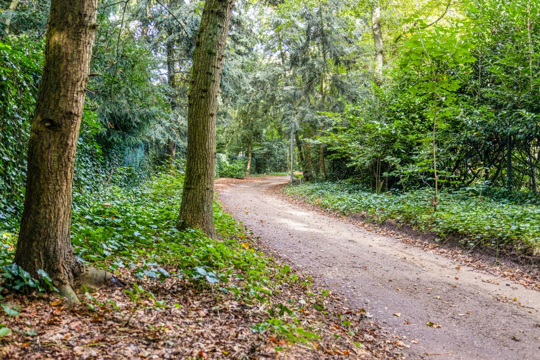 Foto 22 van Steenbergen 5