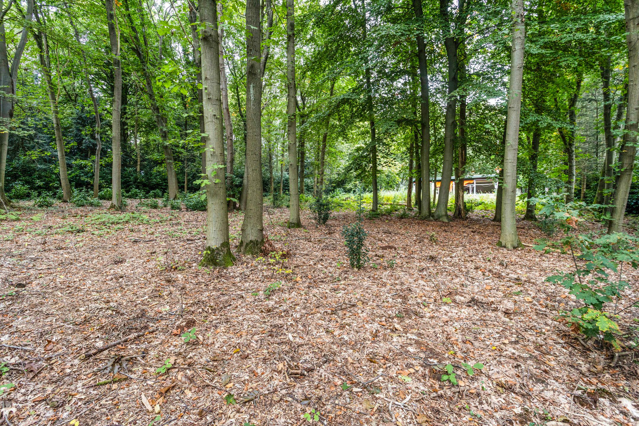 Foto 18 van Steenbergen 5