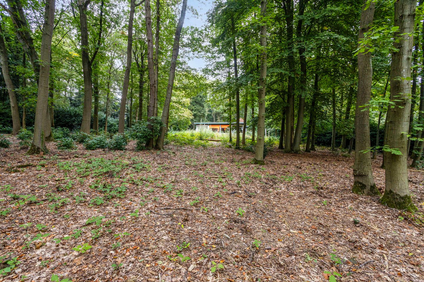 Foto 19 van Steenbergen 5