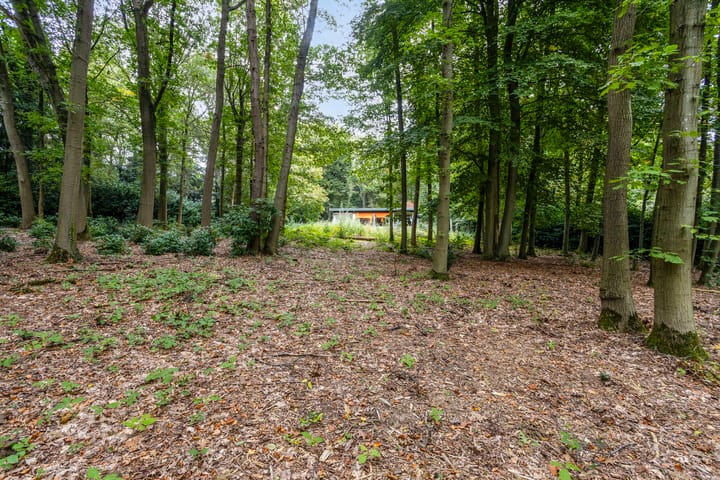 Foto 19 van Steenbergen 5