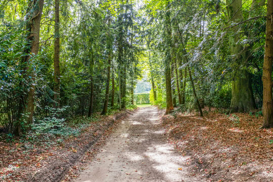 Foto 23 van Steenbergen 5