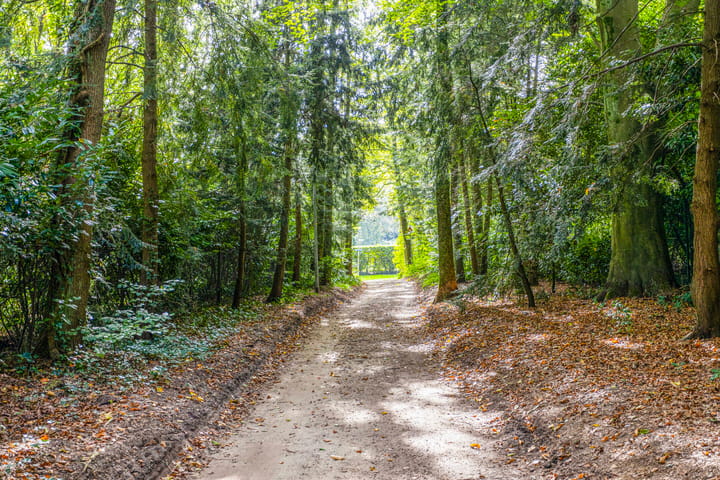 Foto 23 van Steenbergen 5