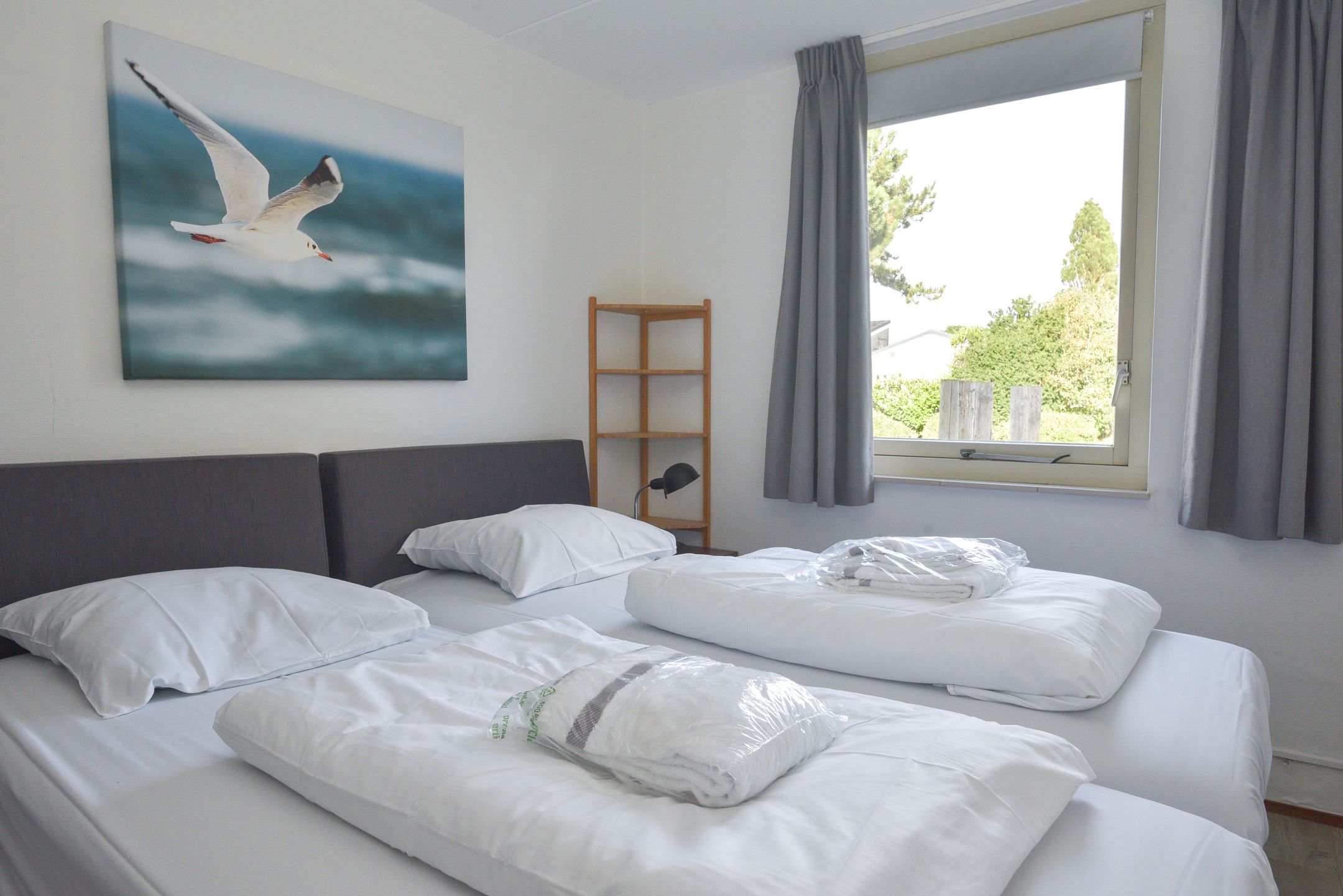 Photo 9 of Ostrea 18