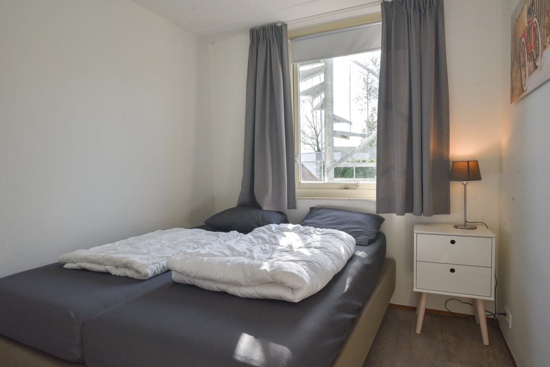 Photo 13 of Ostrea 18