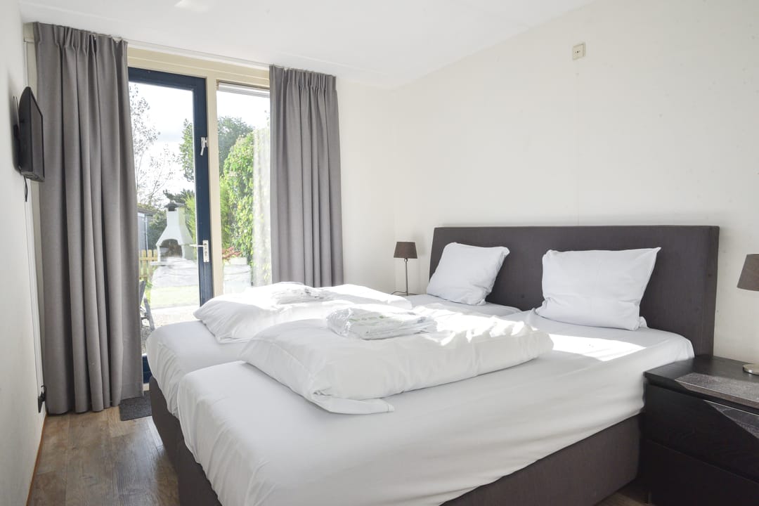 Photo 11 of Ostrea 18