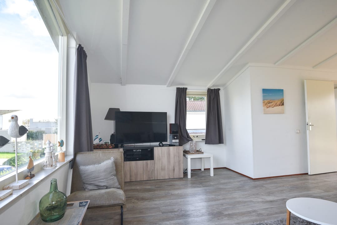 Photo 16 of Ostrea 18