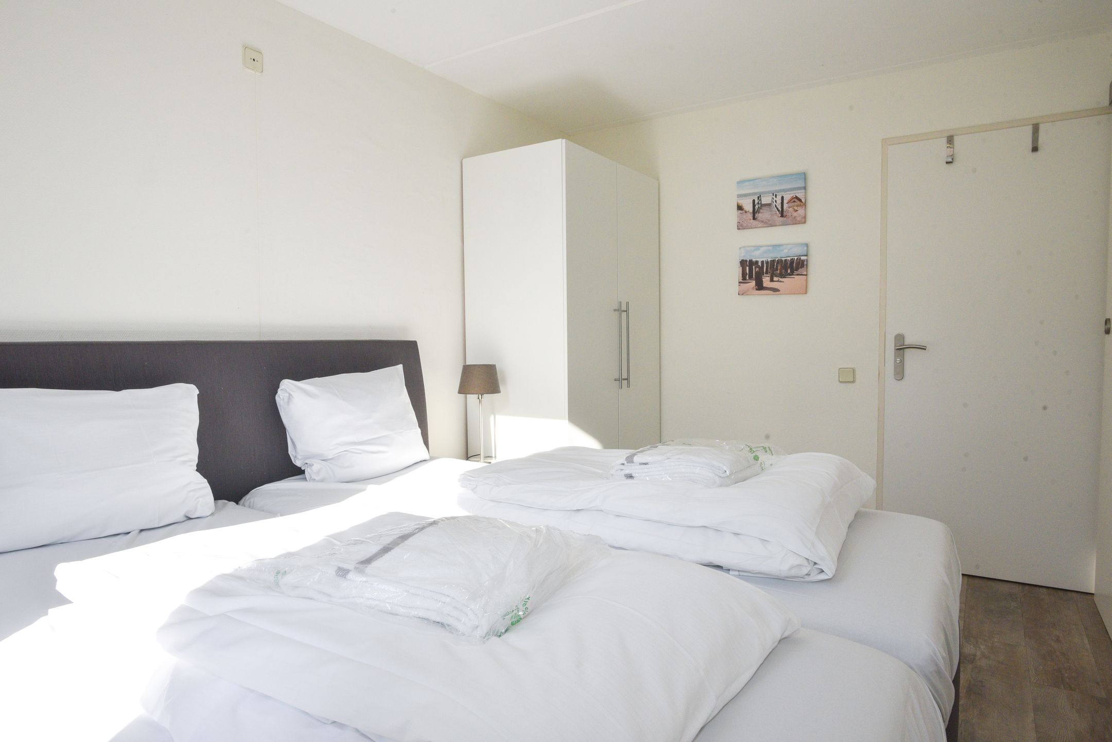 Photo 12 of Ostrea 18