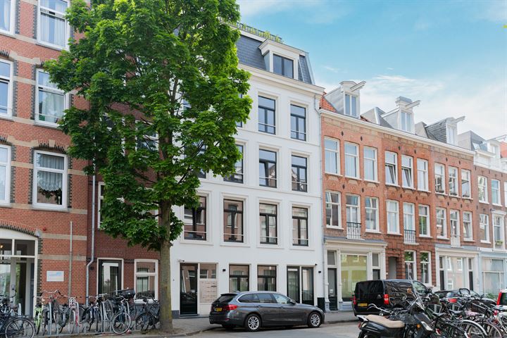 Bekijk foto 71 van Swammerdamstraat 38-K