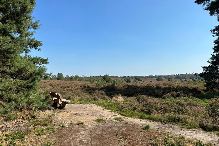 Bekijk foto 12 van Schippersweg