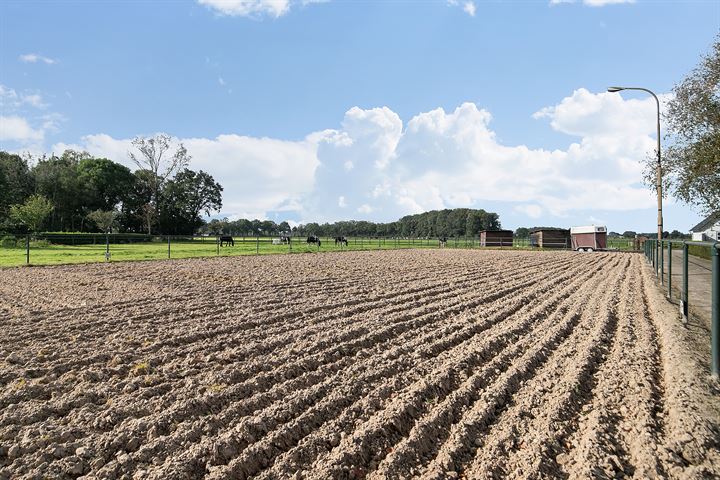 Bekijk foto 38 van Grensweg 18