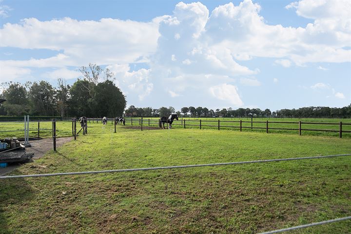 Bekijk foto 39 van Grensweg 18