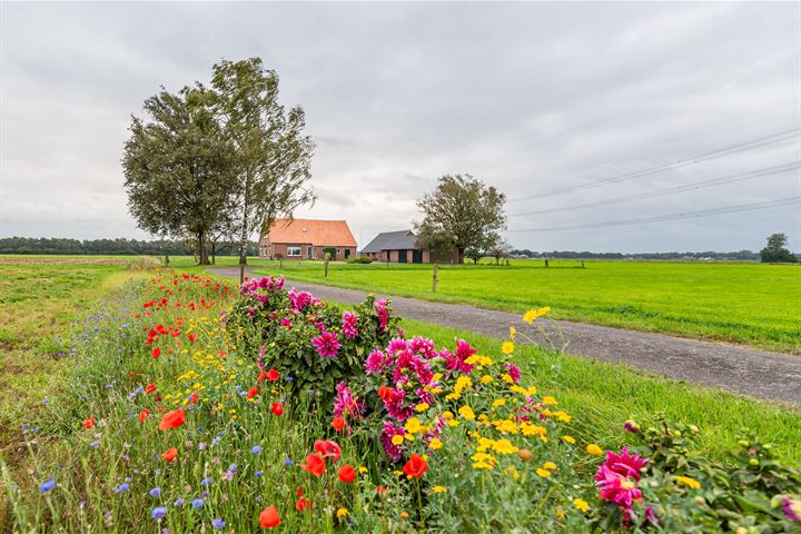 Bekijk foto 3 van Marmelhorstweg 6