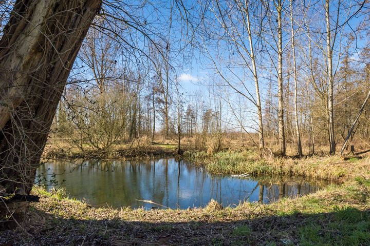 Bekijk foto 45 van Waalbandijk 71