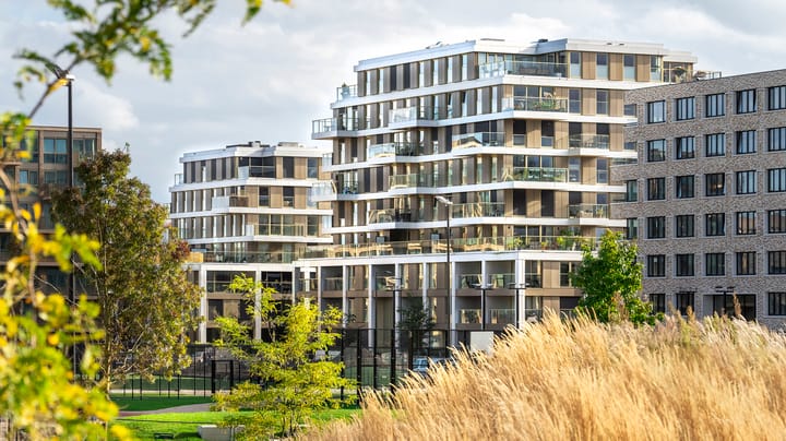 Foto 2 van The Beacons