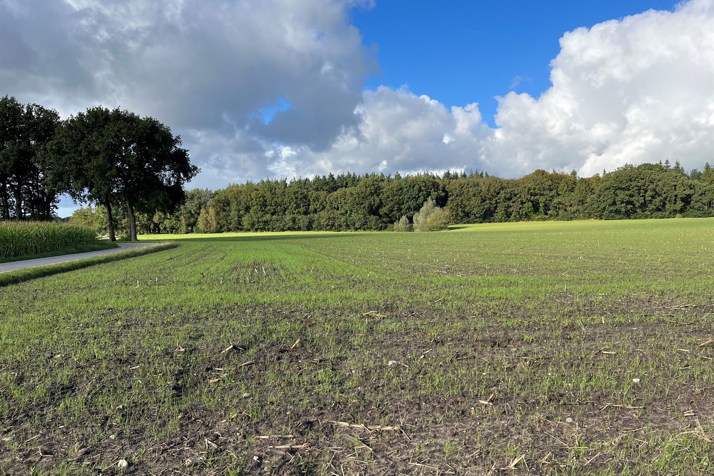 Bekijk foto 1 van Ouwendorperweg