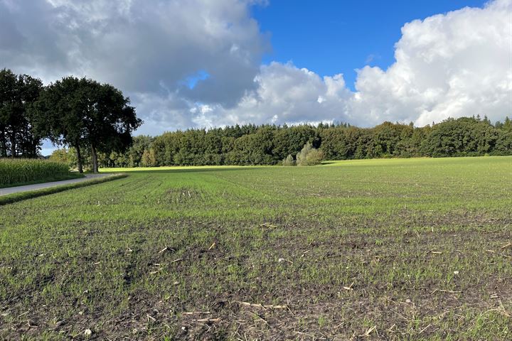 Ouwendorperweg, Garderen