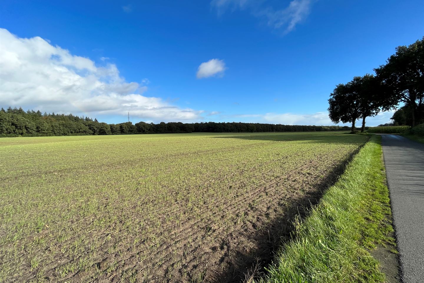 Bekijk foto 4 van Ouwendorperweg