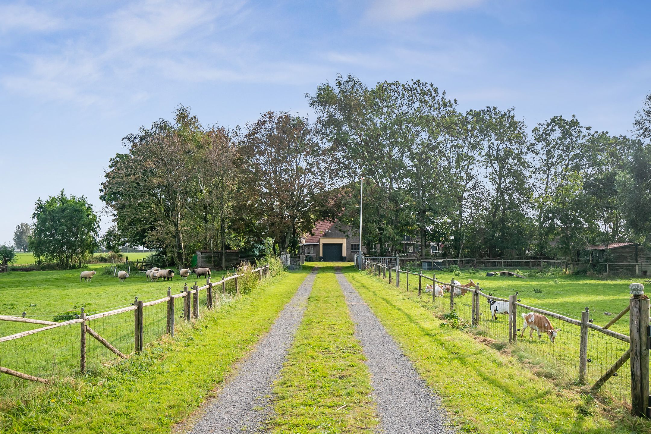 Foto 6 van Herenweg 24