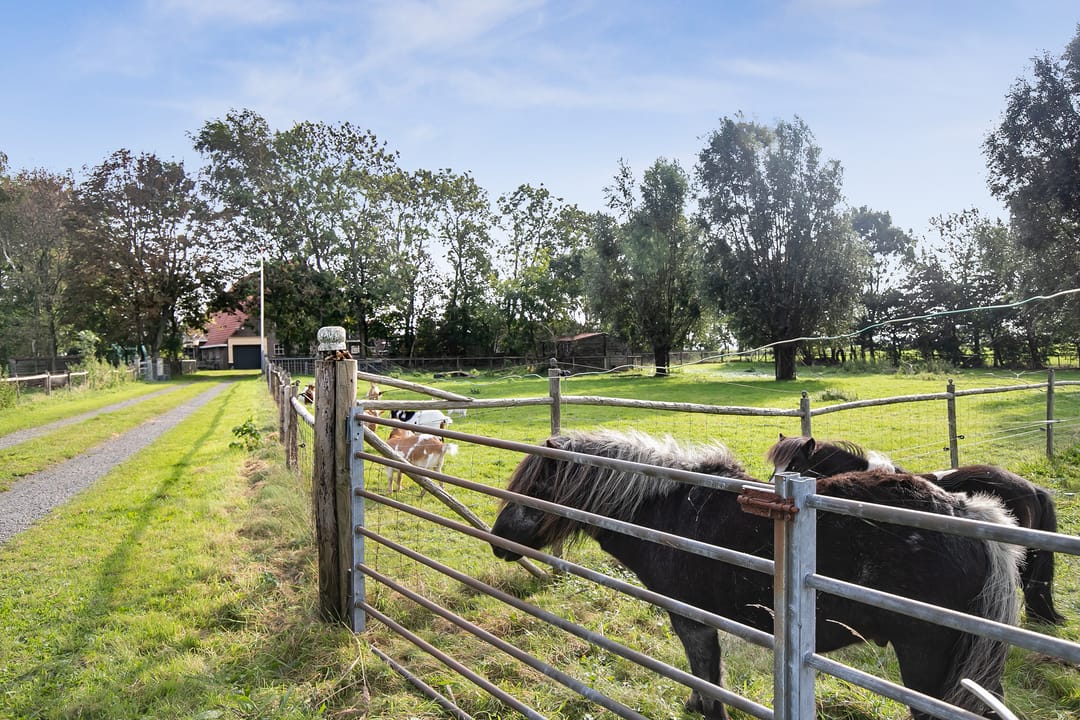 Foto 7 van Herenweg 24