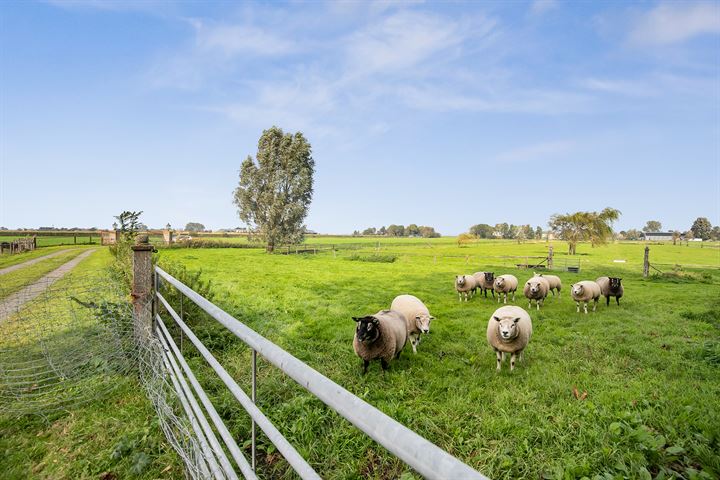 Bekijk foto 45 van Herenweg 24