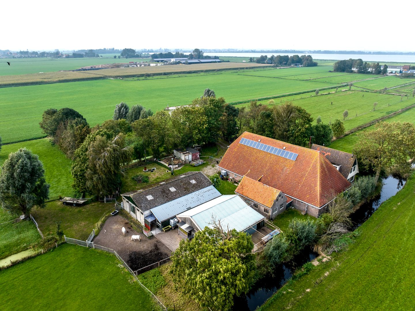 Foto 50 van Herenweg 24