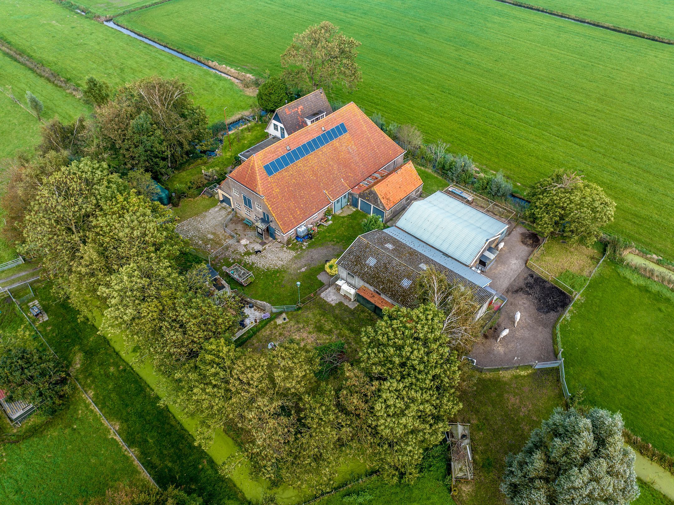 Foto 51 van Herenweg 24