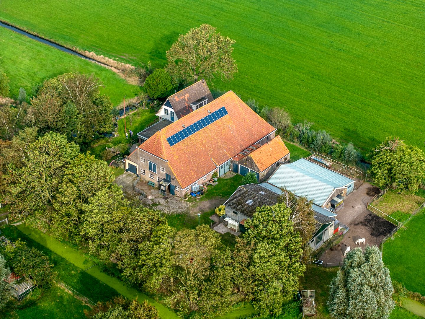 Foto 59 van Herenweg 24