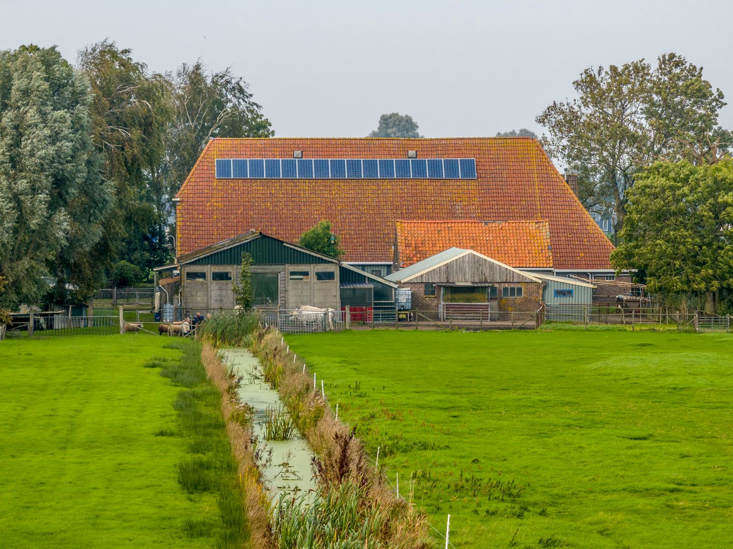 Foto 65 van Herenweg 24