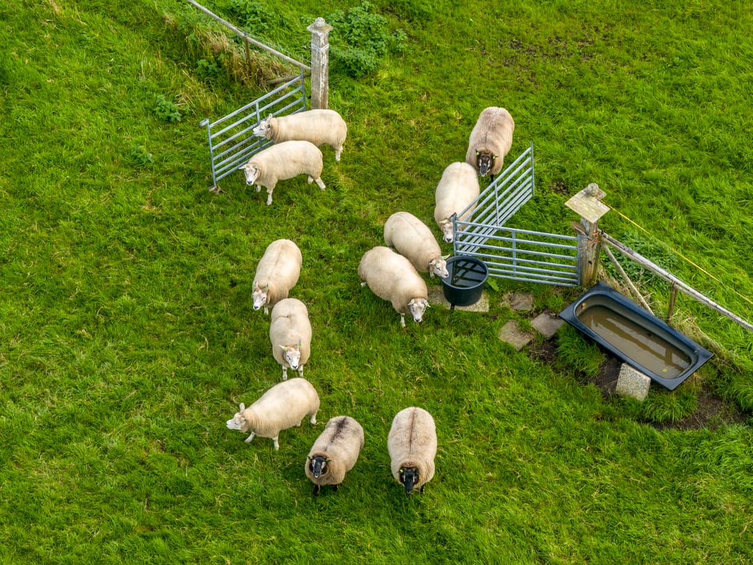 Foto 68 van Herenweg 24