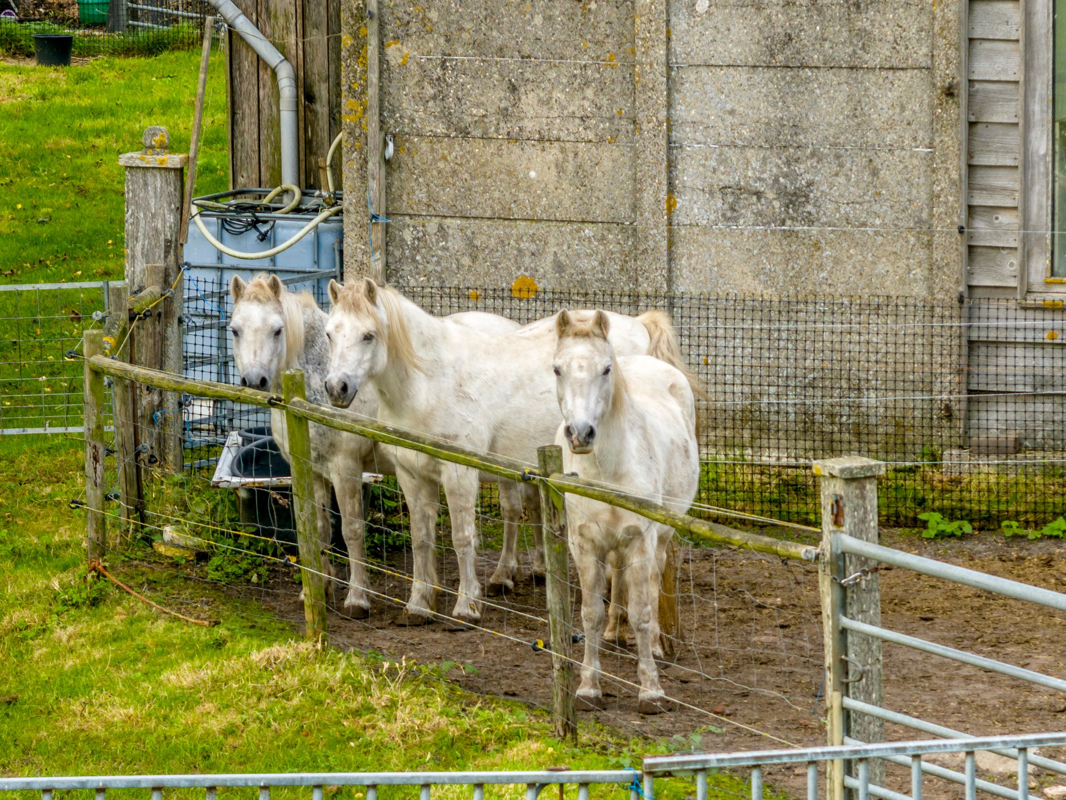 Foto 69 van Herenweg 24