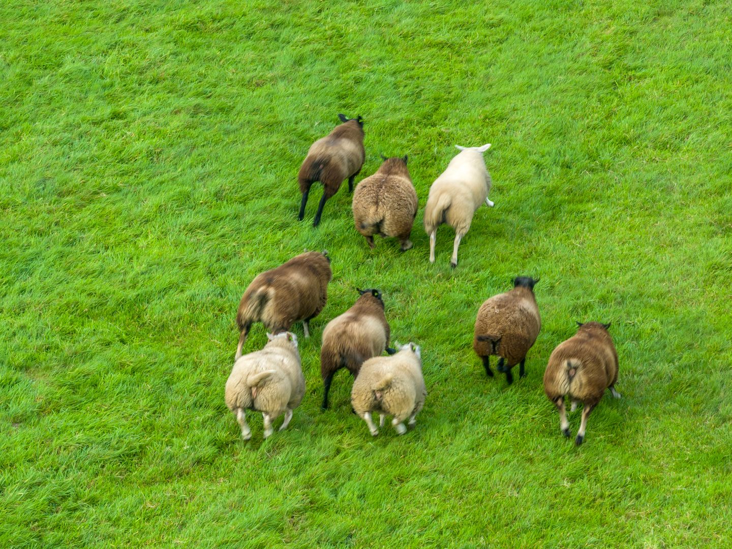 Foto 70 van Herenweg 24