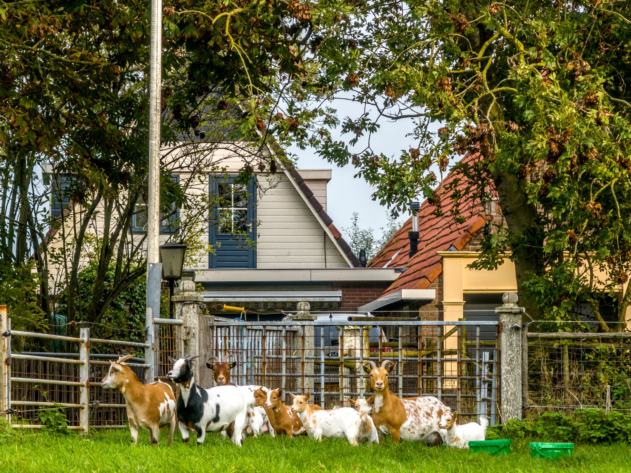 Foto 72 van Herenweg 24