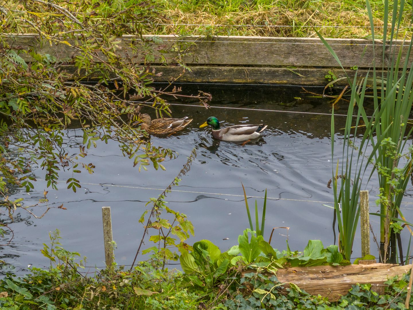 Foto 74 van Herenweg 24