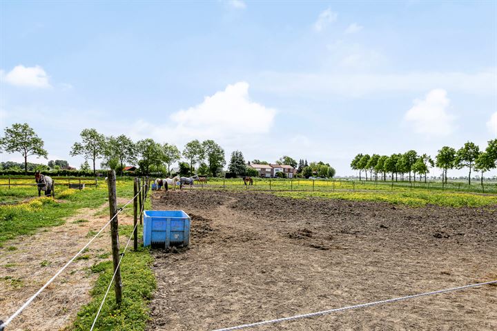 Bekijk foto 36 van Hogeweg 17